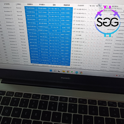 Ethereum van de de Mijnbouwmachine 800Mh 1300W ETChash van Bitmainasic Antminer E7 enz.